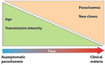 Understanding P. falciparum Asymptomatic Infections: A Proposition for a Transcriptomic Approach